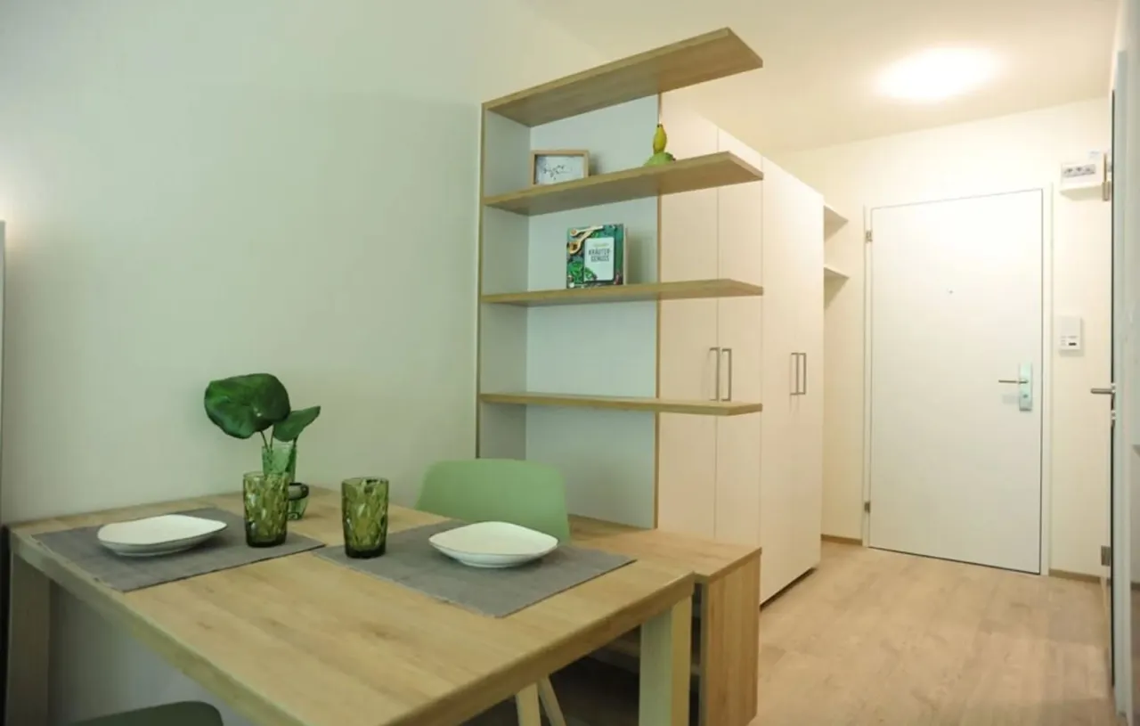 Locuință modernă cu priveliște – Apartamente mobilate la Uetliberg – thumbnail 8