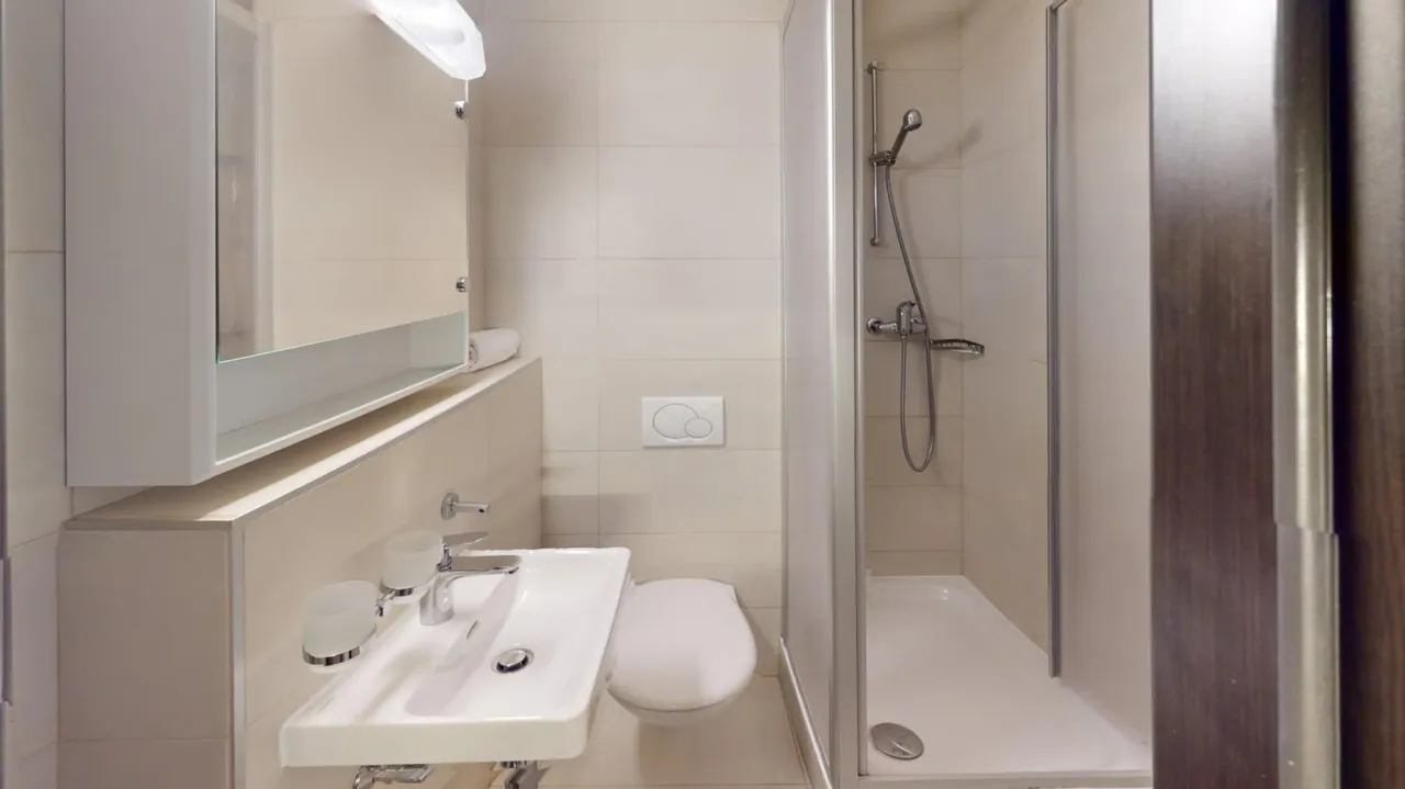 Well-located 22 m² studio apartment in Geneva's Plainpalais district – thumbnail 3