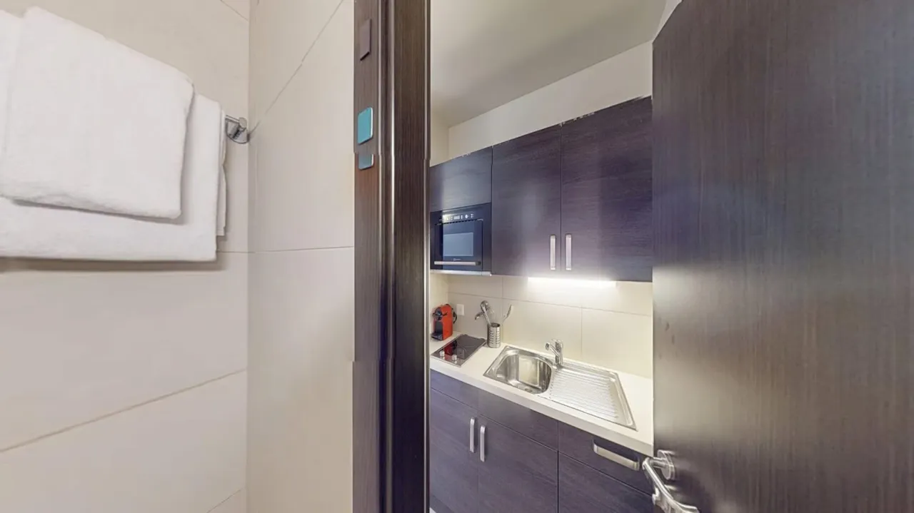 Well-located 22 m² studio apartment in Geneva's Plainpalais district – thumbnail 5