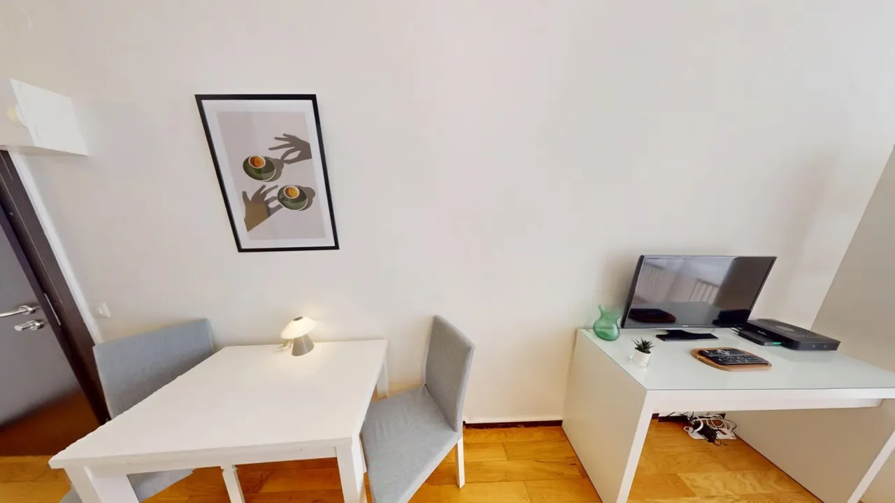 Well-located 22 m² studio apartment in Geneva's Plainpalais district – thumbnail 6