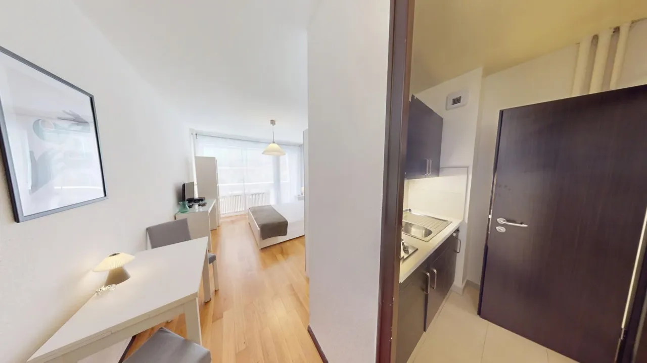 Well-located 22 m² studio apartment in Geneva's Plainpalais district – thumbnail 10