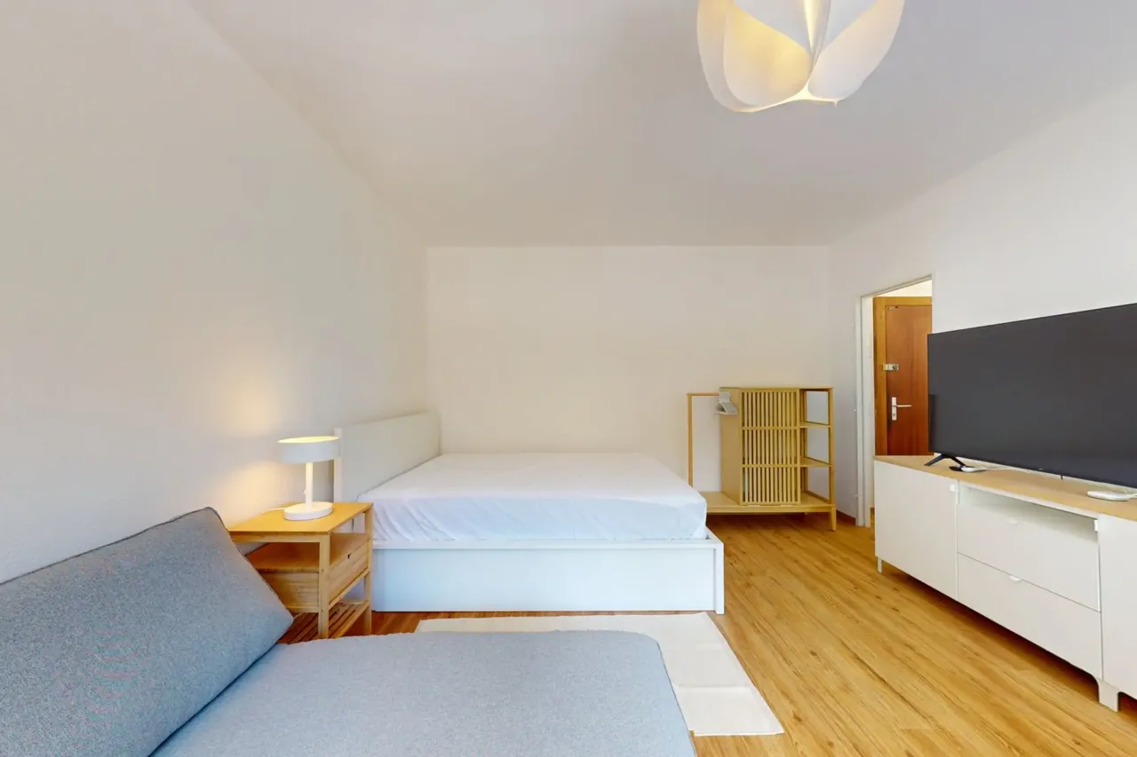 Studio de 30 m² mobilat cu bucătărie separată – Plainpalais, Geneva – thumbnail 7