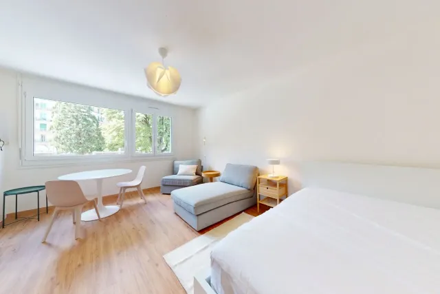 Furnished 30 m² studio with separate kitchen – Plainpalais, Geneva