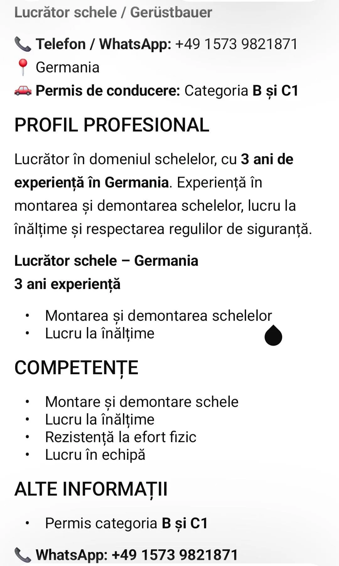 Lucrător schele / Gerüstbaue cu EXPERIENȚĂ caut de lucru ELVETIA – thumbnail 2